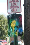 tn_eyecorn.jpg (7962 bytes)