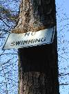 tn_no.swimming.jpg (5456 bytes)