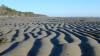 tn_lowtide.jpg (1983 bytes)