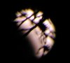 tn_eclipse.jpg (2324 bytes)