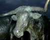 tn_longhorn.jpg (3387 bytes)