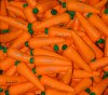 tn_squeezecarrots.jpg (4454 bytes)