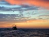 tn_shrimp.sunset.jpg (3298 bytes)