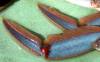 tn_crablegs.jpg (2780 bytes)