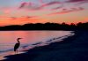 tn_heron.sunset.jpg (2351 bytes)