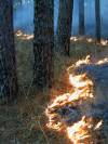 tn_flamefront.jpg (4106 bytes)