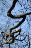 tn_long.and.winding.jpg (6424 bytes)