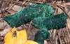 tn_greenscat.jpg (2840 bytes)