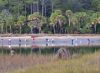 tn_folksfishing.jpg (2972 bytes)