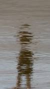 tn_beachshadow.jpg (3217 bytes)