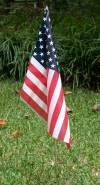tn_flag.jpg (5878 bytes)