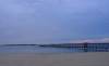 tn_pierpines.jpg (1148 bytes)