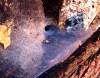 tn_tunnelweb.jpg (3061 bytes)
