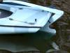 tn_cat.rudder.jpg (2418 bytes)