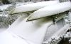 tn_snowkayaks.jpg (2611 bytes)