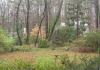 tn_winter.spring.jpg (2588 bytes)