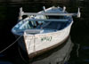 tn_rowing.rig.jpg (2696 bytes)