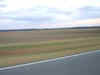 tn_fieldgoingby.jpg (15561 bytes)