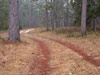 tn_sandyroad.jpg (3437 bytes)