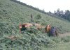tn_kudzu.tractor.jpg (3386 bytes)