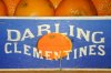 tn_darlings.jpg (3657 bytes)