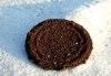 tn_rustylid.jpg (3201 bytes)