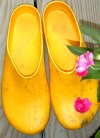 tn_pshoes.jpg (5396 bytes)