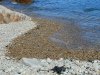 tn_pebble.beach.jpg (3622 bytes)