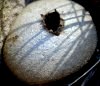tn_puffball.jpg (3881 bytes)