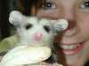 tn_tess.possum.jpg (1983 bytes)