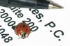 tn_ladybug.jpg (3181 bytes)