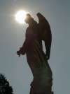 tn_angel.jpg (1912 bytes)