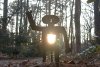 tn_ironman.sun.belly.jpg (3743 bytes)