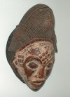 tn_mask.jpg (3956 bytes)