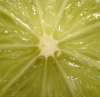 tn_lime.jpg (2055 bytes)