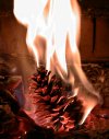 tn_burning.cone.jpg (5007 bytes)