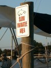 tn_slow.manatee.jpg (5229 bytes)