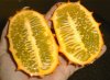 tn_hornfruit.jpg (3660 bytes)