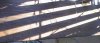 tn_sunstripes2.jpg (2569 bytes)
