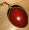 tn_tamarillo.jpg (3016 bytes)