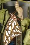 tn_butterfly.hatch.jpg (6720 bytes)