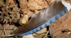 tn_jay.feather.jpg (3308 bytes)